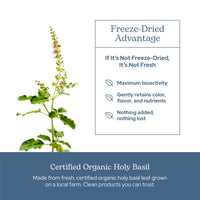 Thumbnail for Eclectic Herb - Holy Basil Capsules | Tulsi Supplement | Natural Adrenal Support | Herbal Supplement | Vegan, Non-GMO, Gluten Free, Freeze-Dried (90 CT | 200 mg)