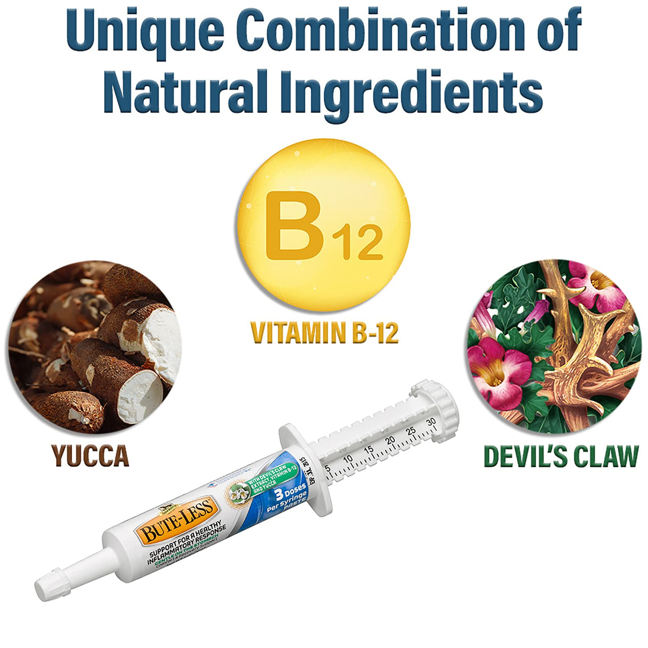 Absorbine Bute-Less Long-Term Horse Comfort & Recovery Supplement Paste, Gentle on Stomach, Devil’s Claw, Vitamin B-12, Yucca, 1oz Syringe / 3 Doses