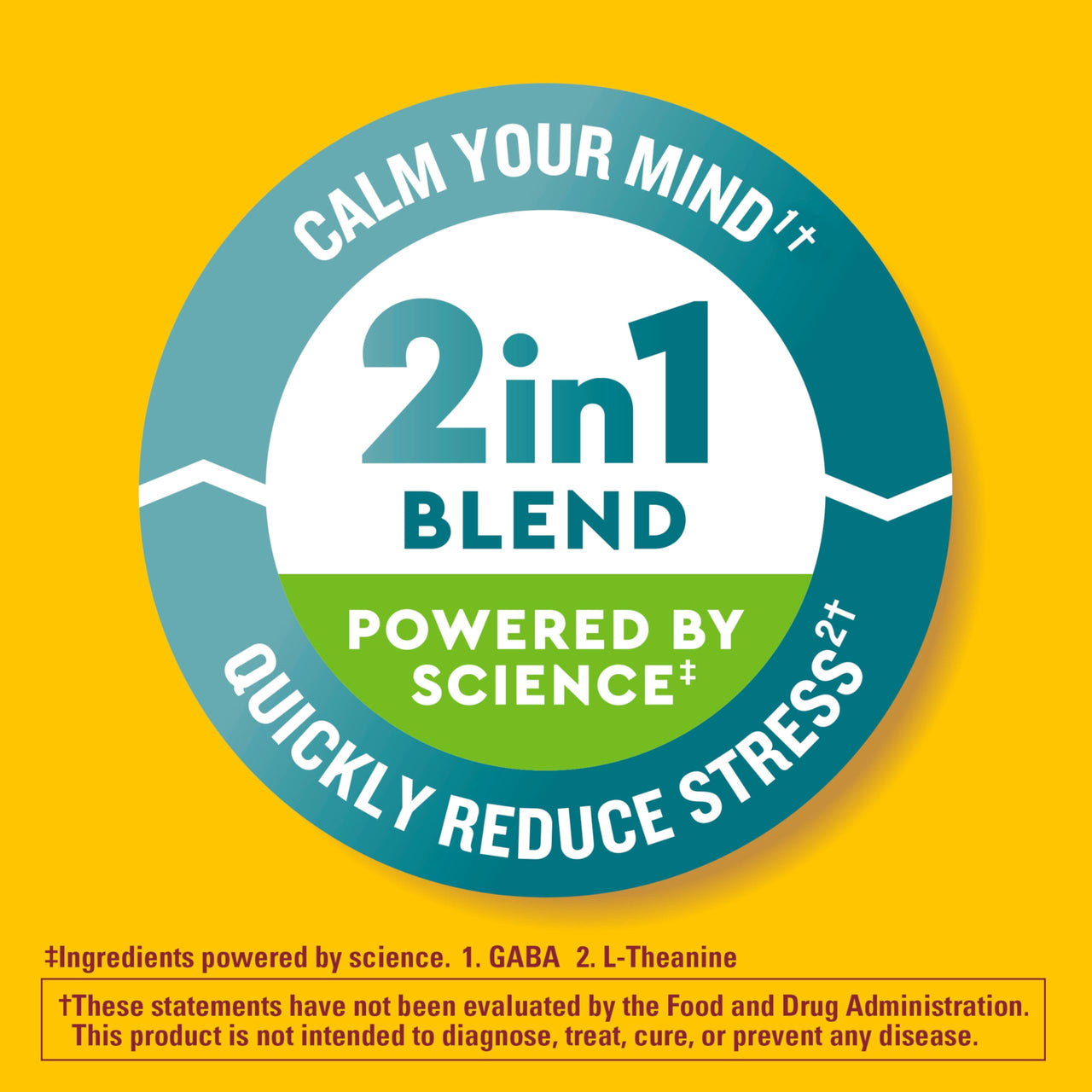 Nature Made Wellblends Stress Relief Gummies, L theanine 200mg to Help Reduce Stress, with GABA 100mg, Same Day Stress Support, 40 Strawberry Flavor Gummies