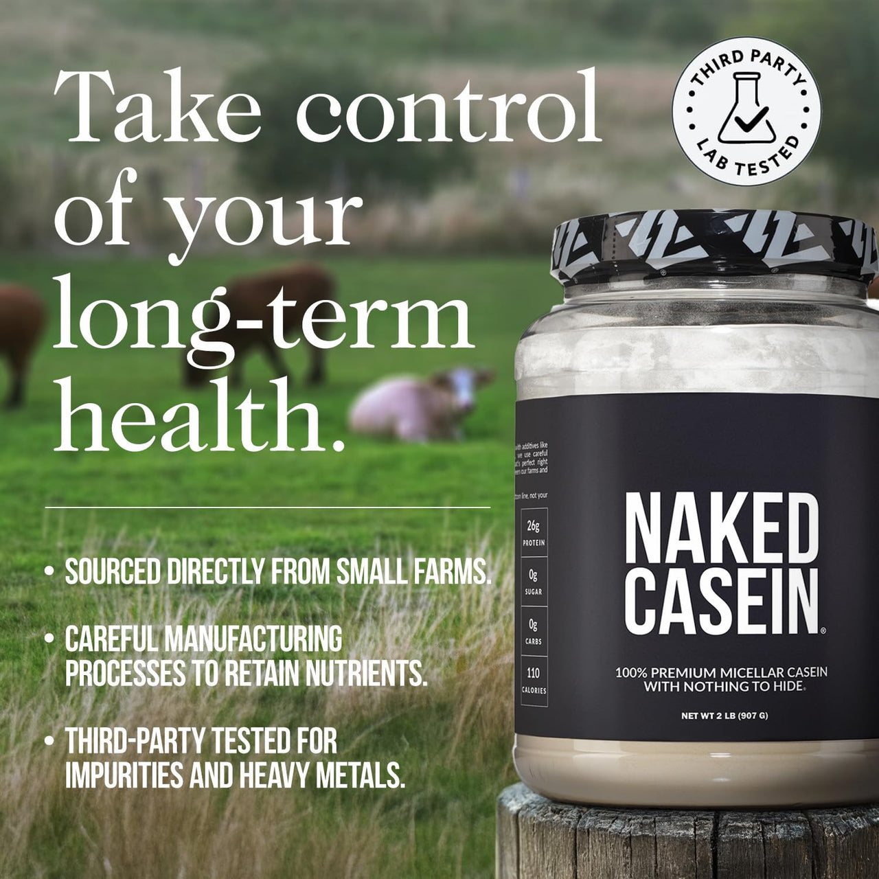 NAKED Casein - Vanilla Micellar Casein Protein - 5 Pound Bulk, NSF Certified, GMO-Free, Gluten-Free, Soy-Free, Preservative-Free - Stimulate Muscle Growth - Enhance Recovery - 61 Servings
