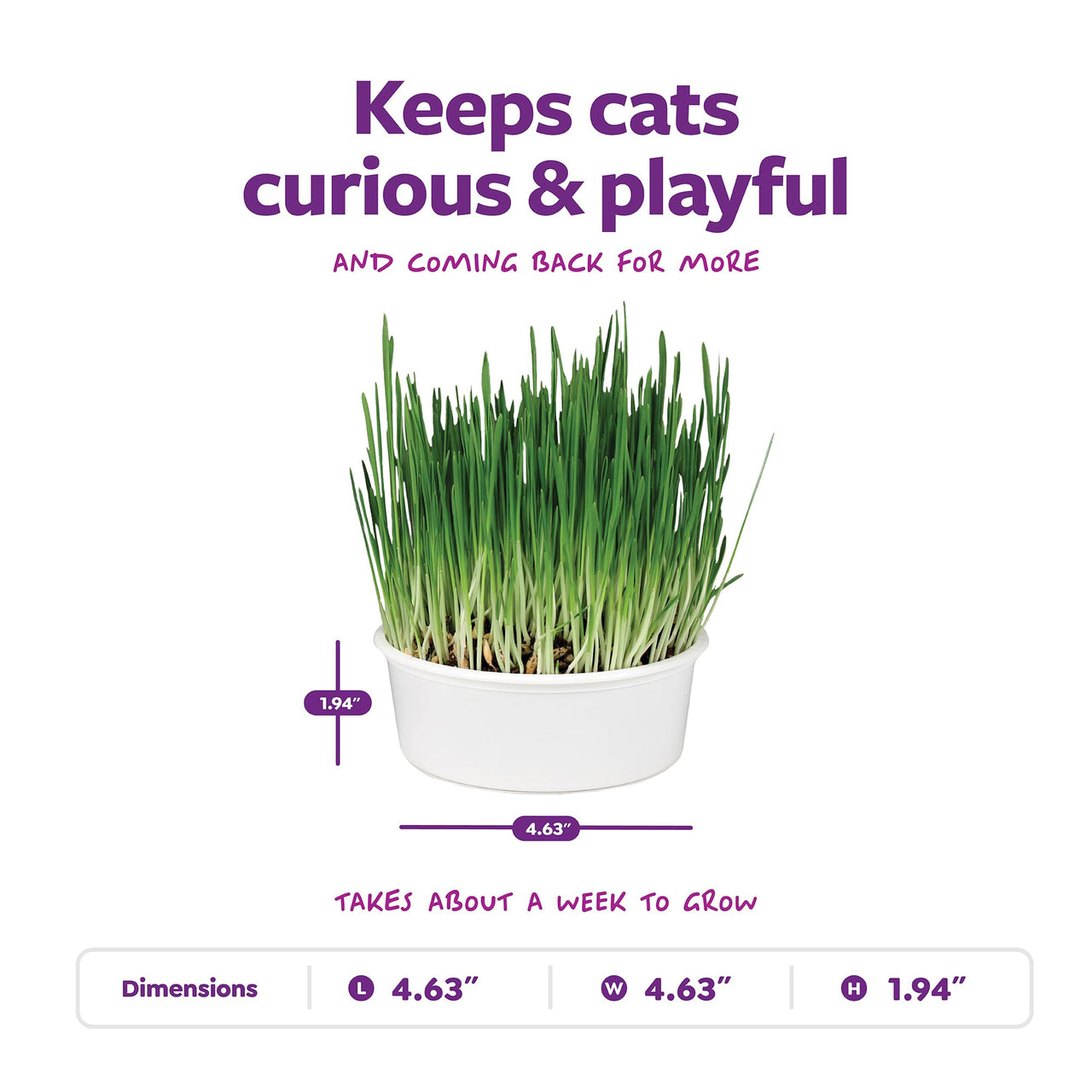 SmartyKat Sweet Greens Organic Oat Grass All-in-One Cat Grass Grow Kit, Easy-to-Grow to Support Digestion & Hairball Reduction