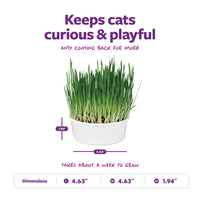 Thumbnail for SmartyKat Sweet Greens Organic Oat Grass All-in-One Cat Grass Grow Kit, Easy-to-Grow to Support Digestion & Hairball Reduction