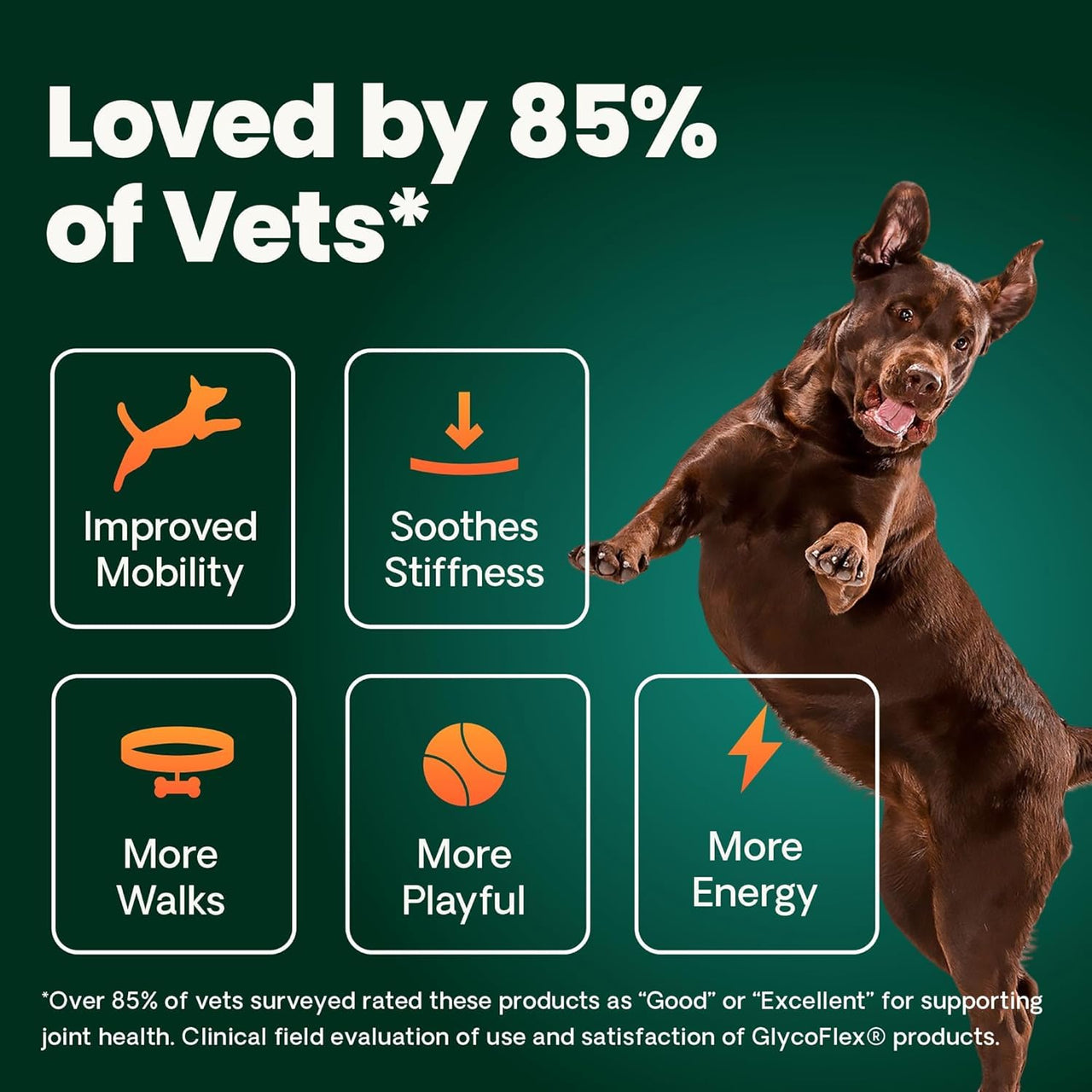 VetriScience Ultimate Strength Healthy Hip & Joint Chews, GlycoFlex Glucosamine, Chondroitin and Green-Lipped Mussel Joint Support Supplement for Dogs, Soothe Joint Discomfort, Duck, 60 Count