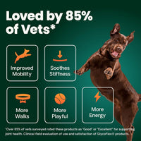 Thumbnail for VetriScience Ultimate Strength Healthy Hip & Joint Chews, GlycoFlex Glucosamine, Chondroitin and Green-Lipped Mussel Joint Support Supplement for Dogs, Soothe Joint Discomfort, Duck, 60 Count