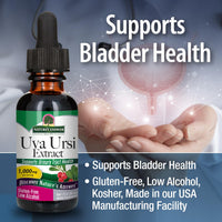 Thumbnail for Nature's Answer Uva Ursi Leaf Liquid Drops with Organic Alcohol, 1000mg, 1-Fluid Ounce | Urinary Tract Support | Supports Nephrotic System Function | Vegan, Non-GMO | Single Count