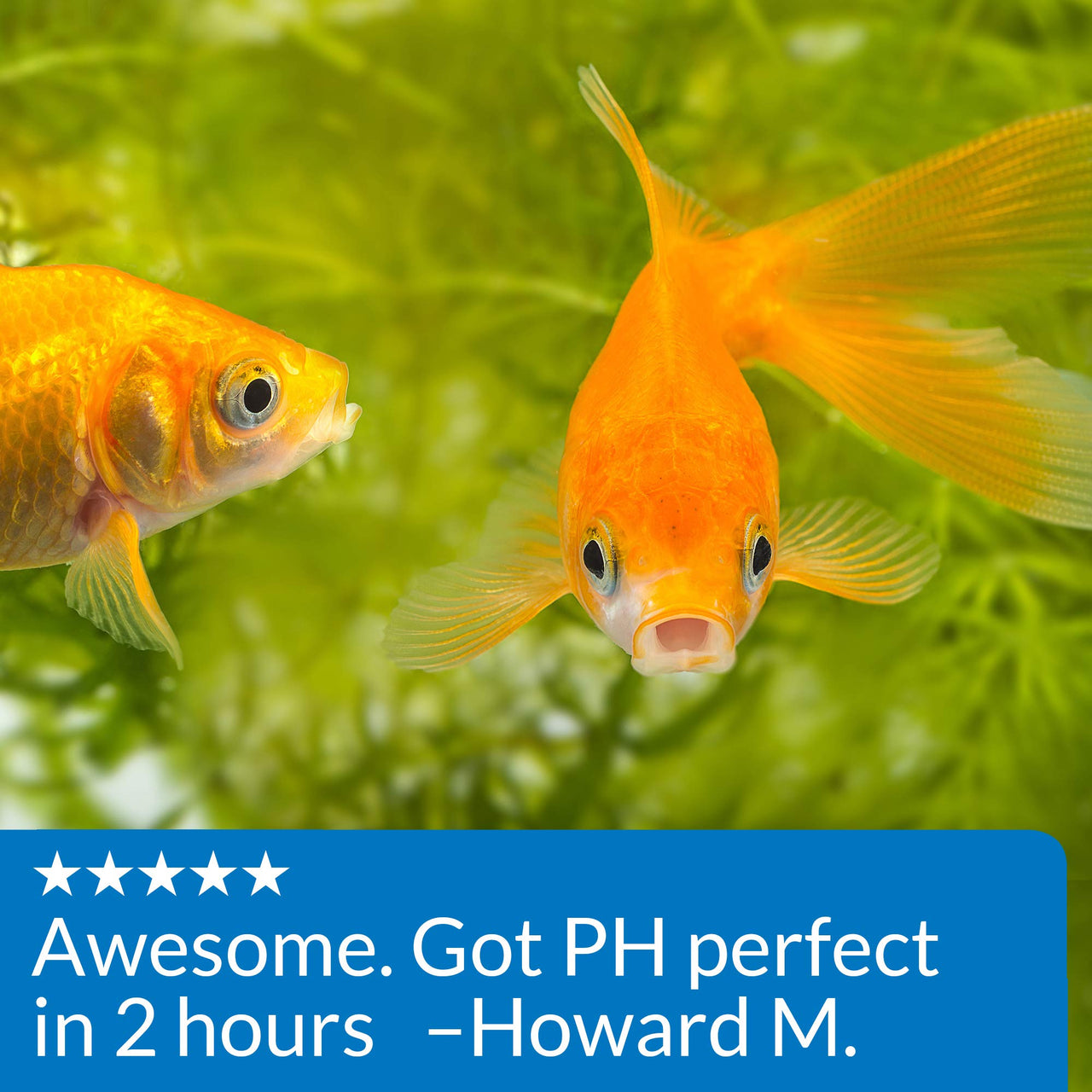 API Proper pH 7.5 Freshwater Aquarium Water pH Stabilizer 9.2-Ounce Container, Proper PH 7.5 PWDR JAR-Small, Whites & Tans, 260 Grams