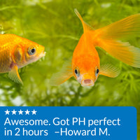 Thumbnail for API Proper pH 7.5 Freshwater Aquarium Water pH Stabilizer 9.2-Ounce Container, Proper PH 7.5 PWDR JAR-Small, Whites & Tans, 260 Grams