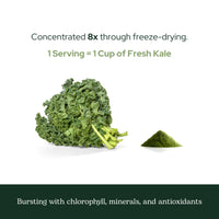 Thumbnail for Eclectic Herb - Organic Kale Powder Supplement | Nutritional Support, Daily Fiber, Vitamins + Minerals | Superfood Powder + Daily Greens Drink Mix | USDA Organic, Non-GMO, Vegan (3.2 oz | 90 g)