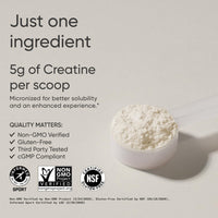 Thumbnail for Sports Research® Creatine Monohydrate - Gain Lean Muscle, Improve Performance and Strength and Support Workout Recovery* - 5 g Micronized Creatine, Lemonade - 25 Servings
