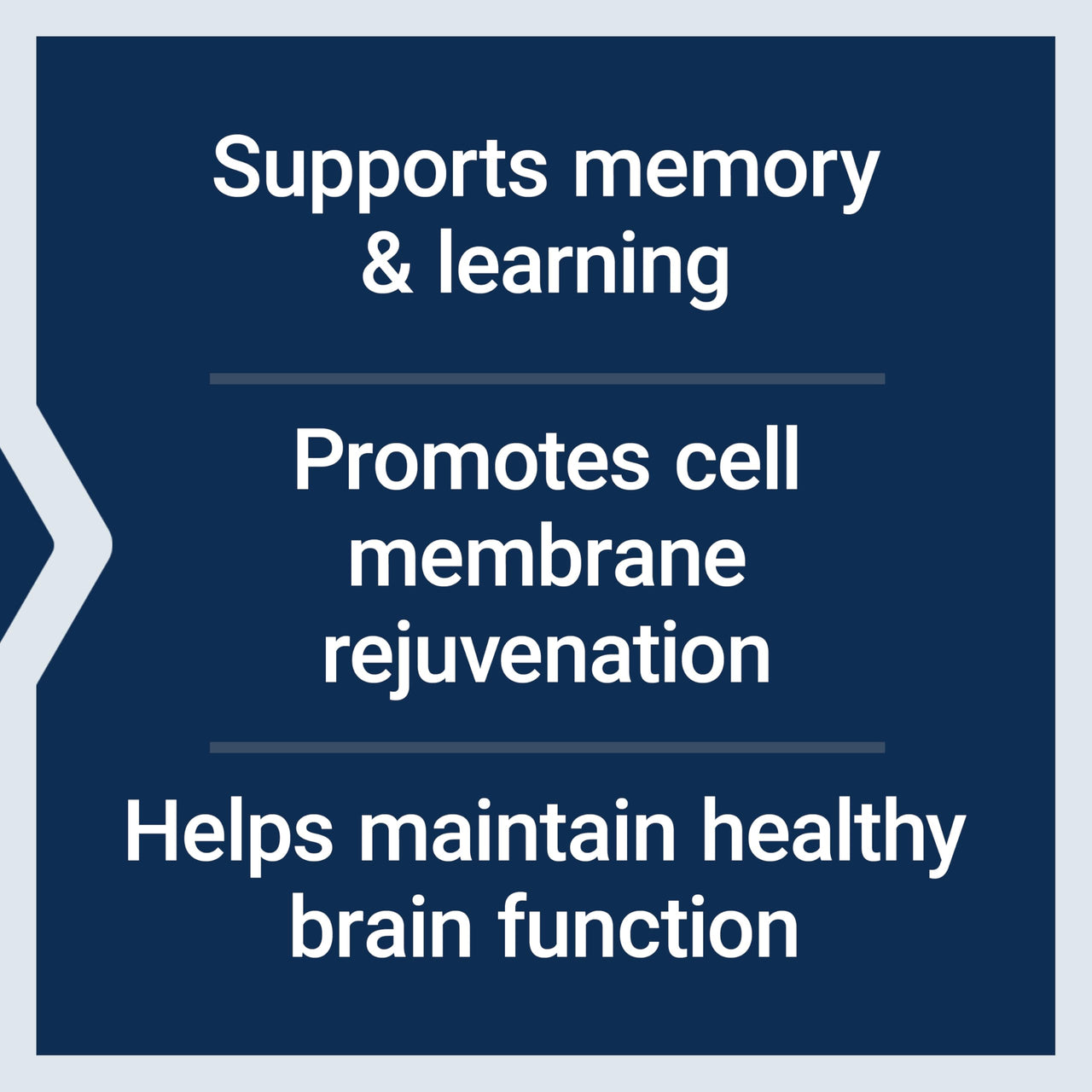 Life Extension DMAE Bitartrate, Supports neurotransmitter Production, 6-Month Supply, Gluten-Free, Non-GMO, Vegetarian, 200 Capsules