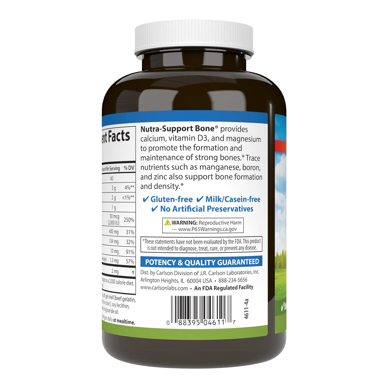 Carlson - Nutra-Support Bone, Calcium, Magnesium & Vitamin D3, Bone Health, Calcium Absorption & Optimal Wellness, 100 Softgels