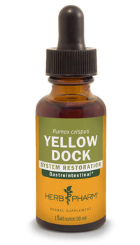 Thumbnail for Herb Pharm Yellow Dock Liquid Extract for Digestive System Support - 1 Ounce