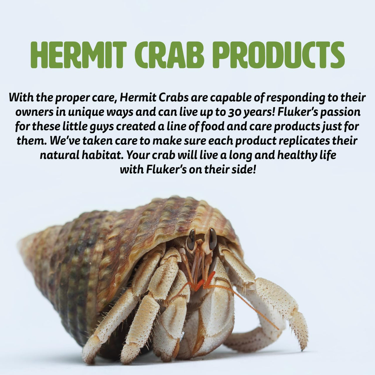 Fluker's Color Enhancer Treat for Hermit Crabs, Red