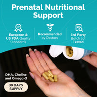 Thumbnail for Conceive Plus Prenatal Vitamins for Women Supplement - Multivitamin With Folic Acid for Pregnancy Vegan, Choline, Iron - Pre Natal Vitamins DHA, Non GMO - Maternity Vitamin for Brain & Eye 60 Capsules