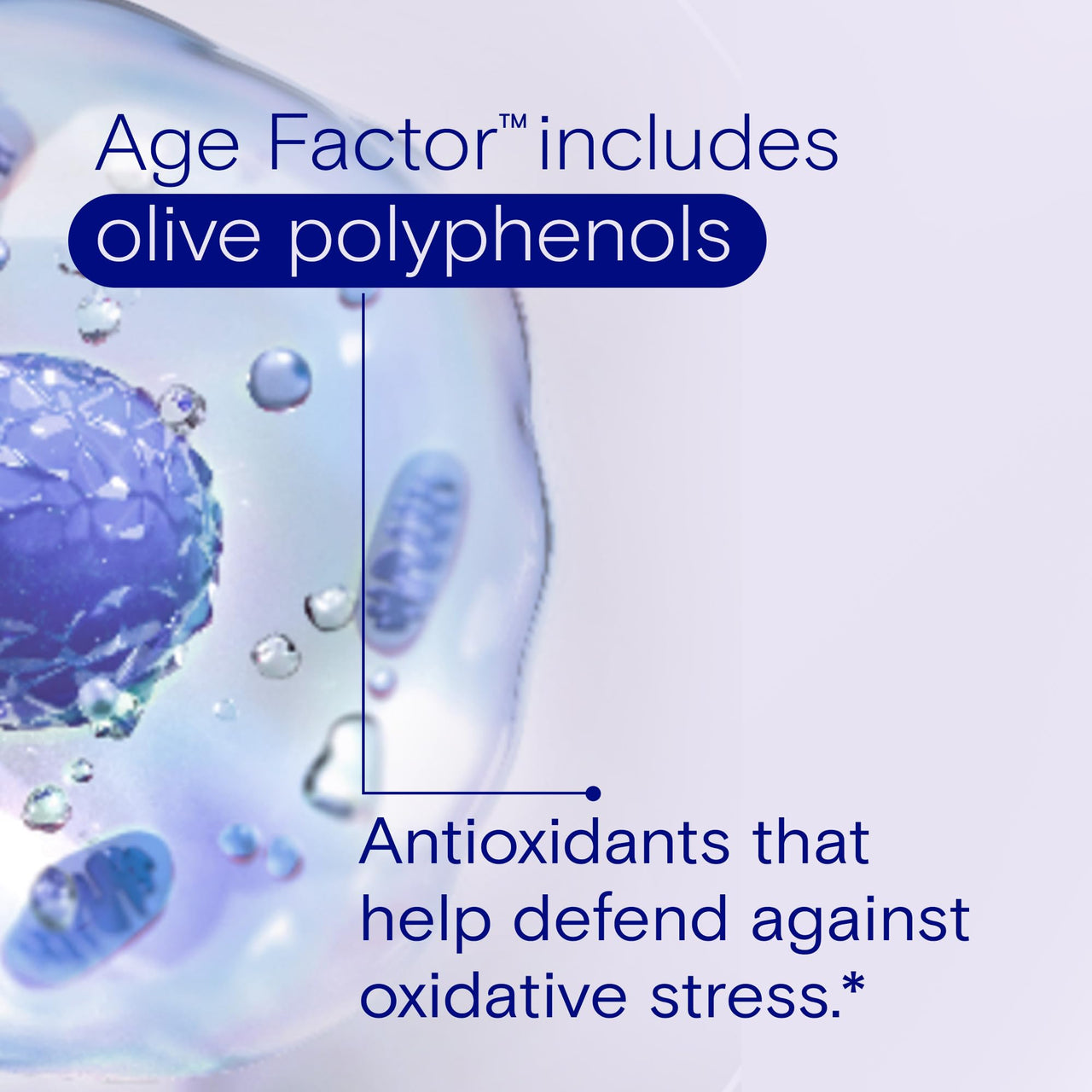 One A Day Age Factor Cell Defense-Cell Health Supplement to Support Healthy Aging Journey, Cell Health Support for Adults, with Olive Polyphenols, Resveratrol, Vitamin B3 (Niacinamide), 30 Softgels