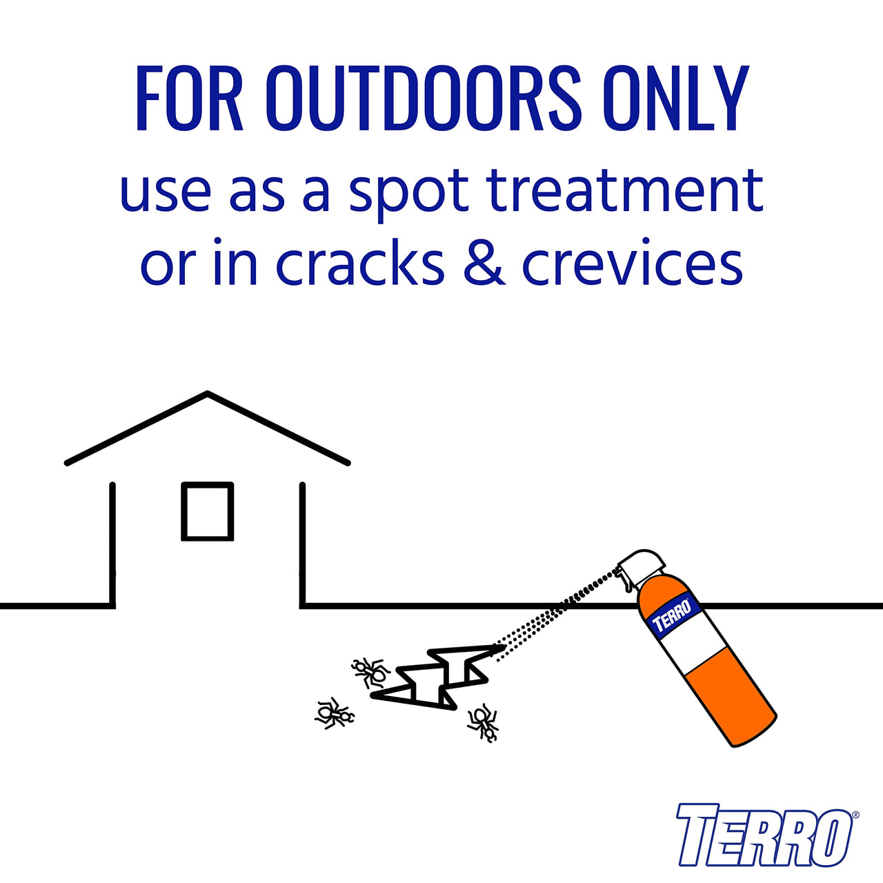 TERRO T1700SR 19 oz Outdoor Ant Killer Spray