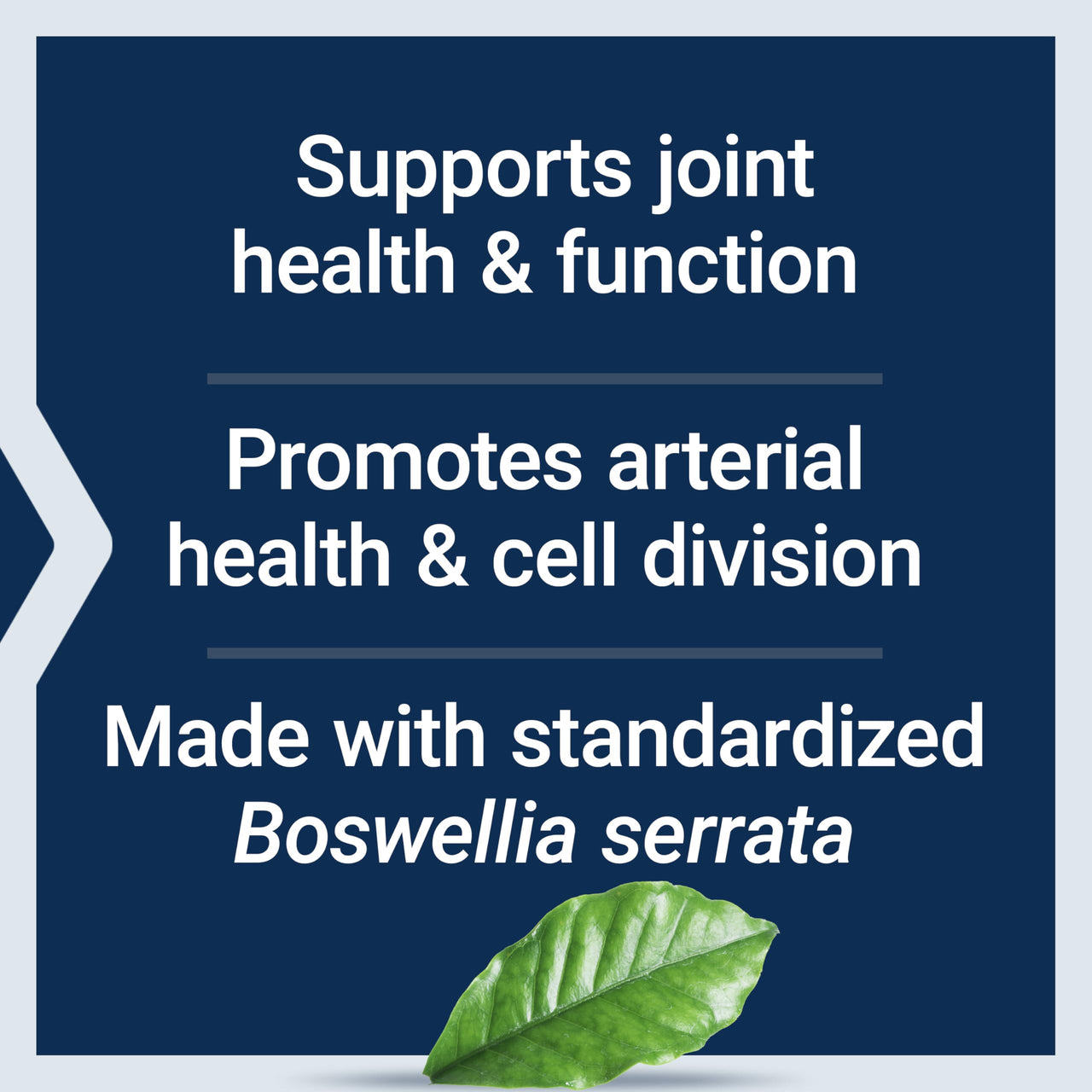 Life Extension 5-LOX Inhibitor with AprèsFlex®, 100 mg, standardized Boswellia serrata Extract, Promotes Joint, Cell & arterial Health, Gluten-Free, Non-GMO, Vegetarian, 60 Capsules