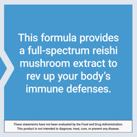 Thumbnail for Life Extension Reishi Extract Mushroom Complex - Mushrooms Herbal Supplement for Immune Support – Ganoderma Lucidum Extract - Gluten-Free, Non-GMO, Vegetarian – 60 Capsules