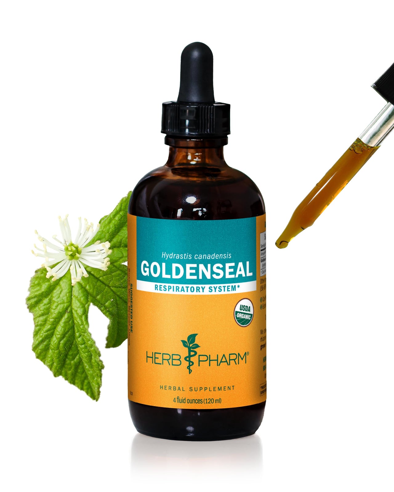 Herb Pharm Certified Organic Goldenseal Liquid Extract for Respiratory System Support - 4 Ounce