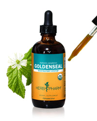 Thumbnail for Herb Pharm Certified Organic Goldenseal Liquid Extract for Respiratory System Support - 4 Ounce