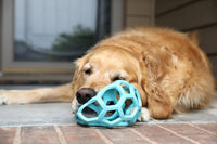 Thumbnail for JW Pet HOL-ee Roller™, Dog Toy Puzzle Ball, Natural Rubber, Large (5.5” Inch Diameter), Blue