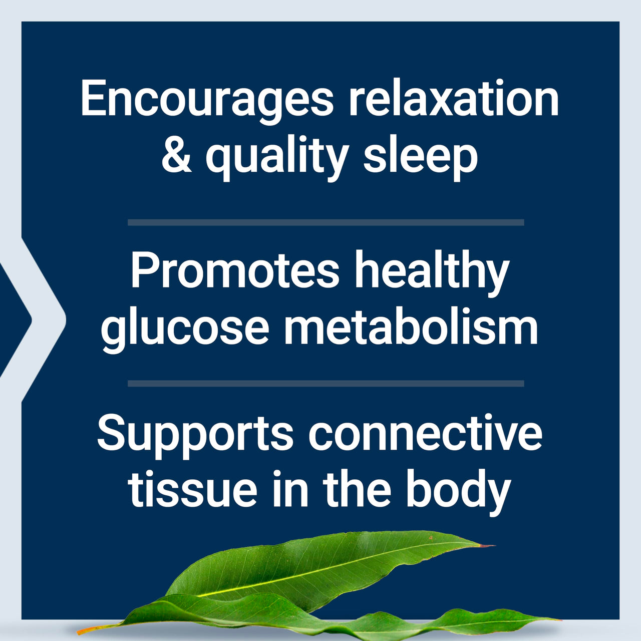 Life Extension Glycine, 1000 mg, Amino Acid That Promotes Healthy Sleep, Gluten-Free, Non-GMO, Vegetarian, 100 Capsules