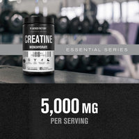 Thumbnail for Jacked Factory Creatine Monohydrate Powder 425g - 5g Daily Creatine Supplement for Men and Women, Vegan-Friendly, Third-Party Tested - 85 Servings, Unflavored