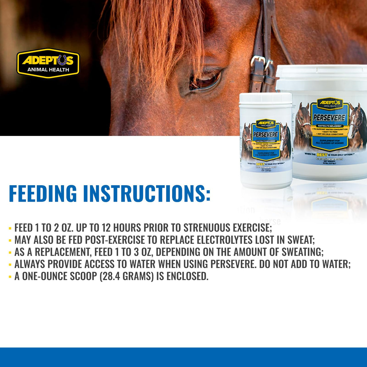 Adeptus Nutrition Persevere Electrolyte Supplement for All Classes of Horses, Supports Hydration, Balanced Formula for Sweat Replacement, Prebiotic Yeast Base, Easy-Feed Powder, 4 Lbs