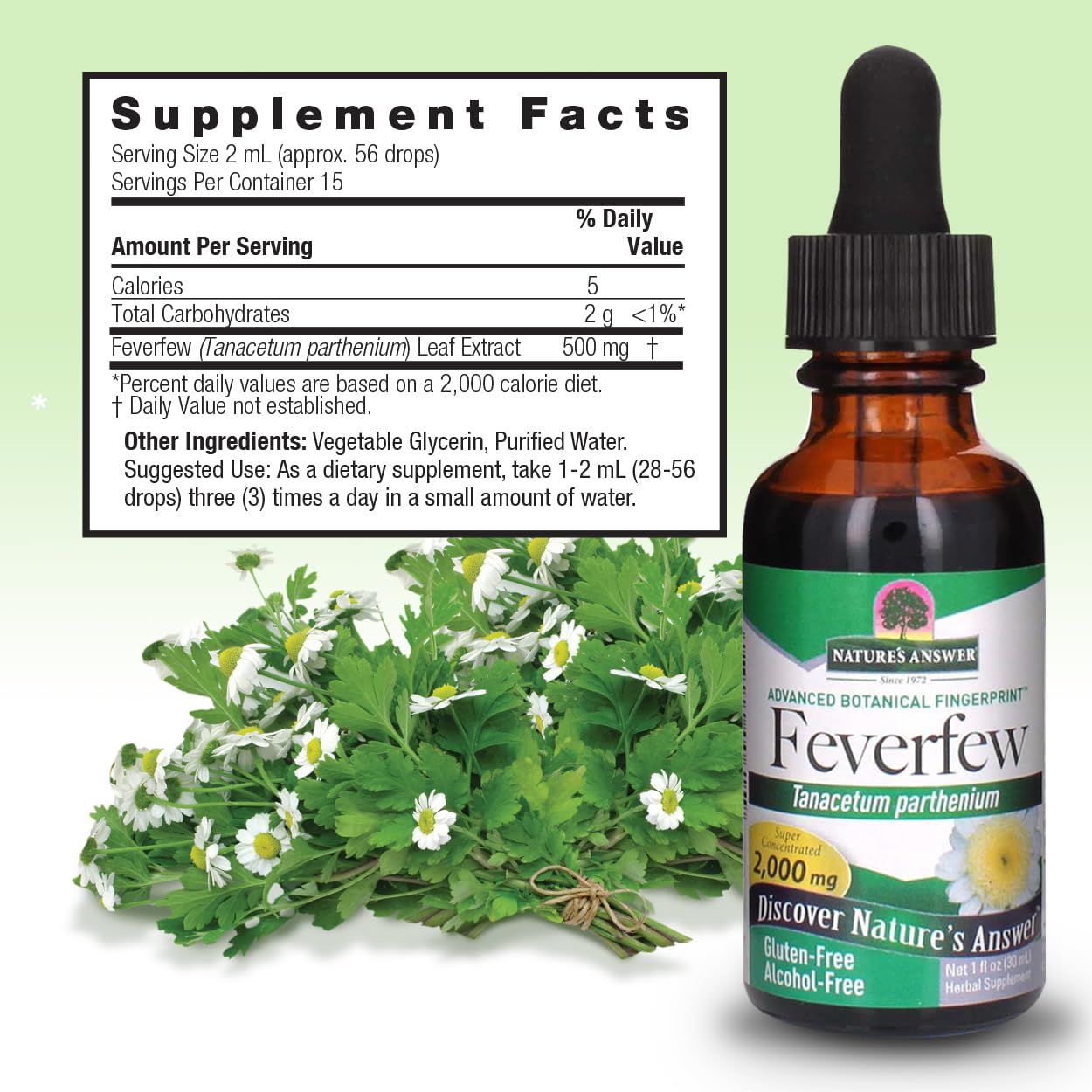 Nature's Answer Alcohol-Free Feverfew 2000mg 1oz Extract | Promotes Overall Well-Being | Source of Parthenolide | No Artificial Flavors or Preservatives | Single Count
