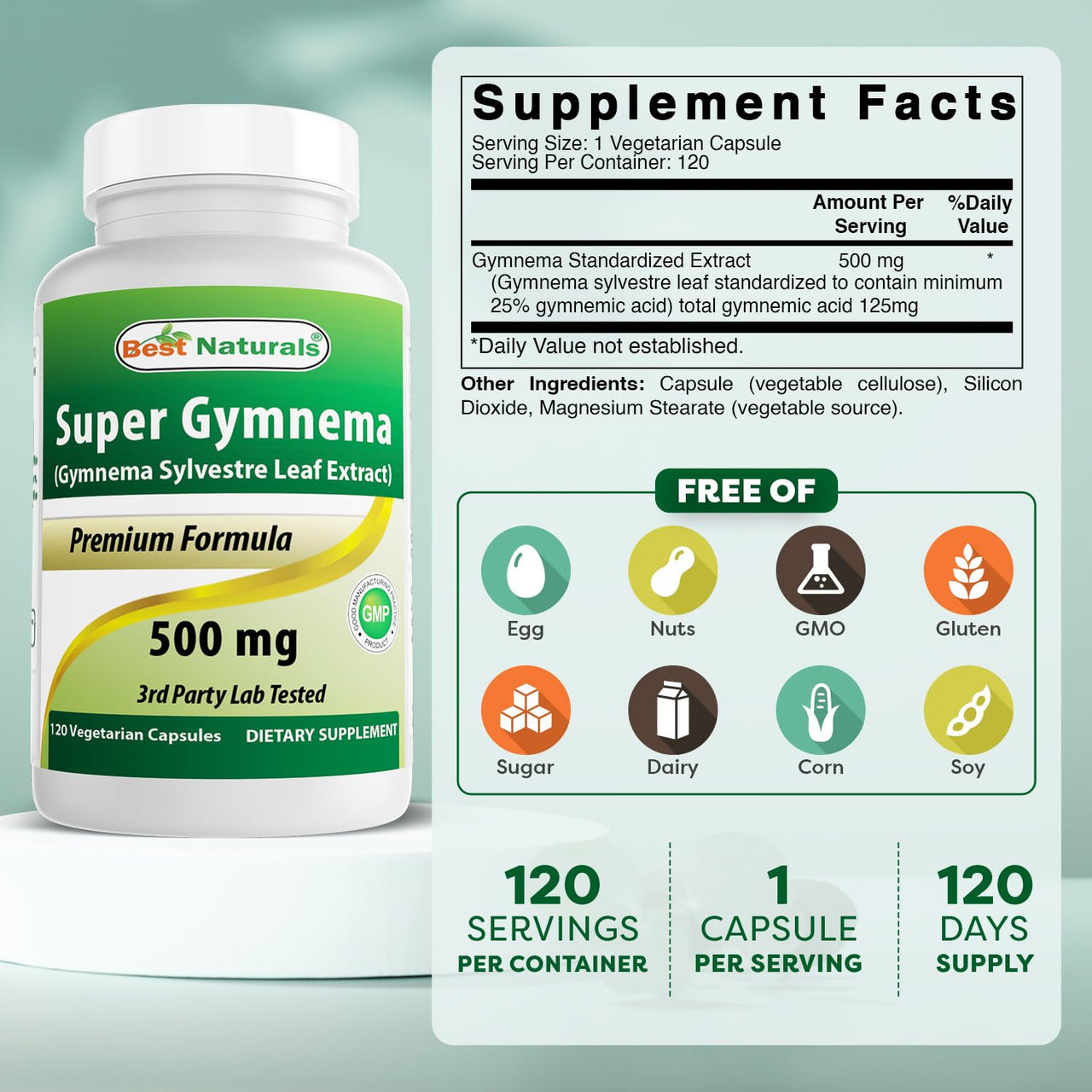 Best Naturals Gymnema Sylvestre Extract 500 mg 120 Vegetarian Capsules - Contains Minimum of 25% Gymnemic Acid (Pack of 2)