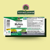 Thumbnail for Nature's Answer Mullein Herb - Mullein Leaf Extract for Lungs - Alcohol Free, Non GMO, Made in USA - Supports Respiratory Function & Promotes Healthy Lungs - Mullein Leaf 1 Ounce Extract