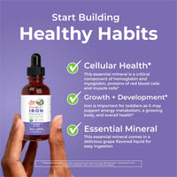 Thumbnail for MaryRuth's Iron Supplement for Toddlers | Liquid Iron Supplement for Children Ages 1-3 | Iron Supplement for Iron Deficiency | Ferrochel | Sugar Free | Vegan | Non-GMO | Gluten Free | 2 Fl Oz