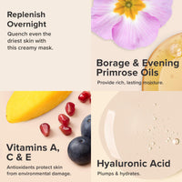 Thumbnail for Paula's Choice SKIN RECOVERY Hydrating Treatment Face Mask, Overnight Face Mask Cream with Primrose Oils, Vitamin C, A, E, & Hylauronic Acid, Hydrate, Smooths, Calming, 4oz