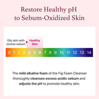 Thumbnail for I’m from Fig Foam Cleanser, Korean Daily Gentle Face Wash for Oily, Sensitive Skin, Sebum Control, Mild Alkaline, Creamy Bubble, Lather, Exfoliating, Vegan, Hydrating, Pore Cleansing 5.07 fl oz