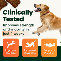 Thumbnail for VetriScience Ultimate Strength Healthy Hip & Joint Chews, GlycoFlex Glucosamine, Chondroitin and Green-Lipped Mussel Joint Support Supplement for Dogs, Soothe Joint Discomfort, Duck, 60 Count