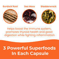 Thumbnail for INFINITE AGE 1250mg Sea Moss Advanced Superfood Capsules, 60 Count - High-Potency, Vegan, Made in The USA - Irish Seamoss, Bladderwrack, Burdock Root - Overall Health, Immunity Support