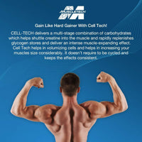 Thumbnail for MuscleTech Cell-Tech Creactor Creatine HCl Powder,Post Workout Muscle Builder for Men & Women ,Creatine Hydrochloride + Free-Acid,Unflavored (120 Servings),8.47 oz