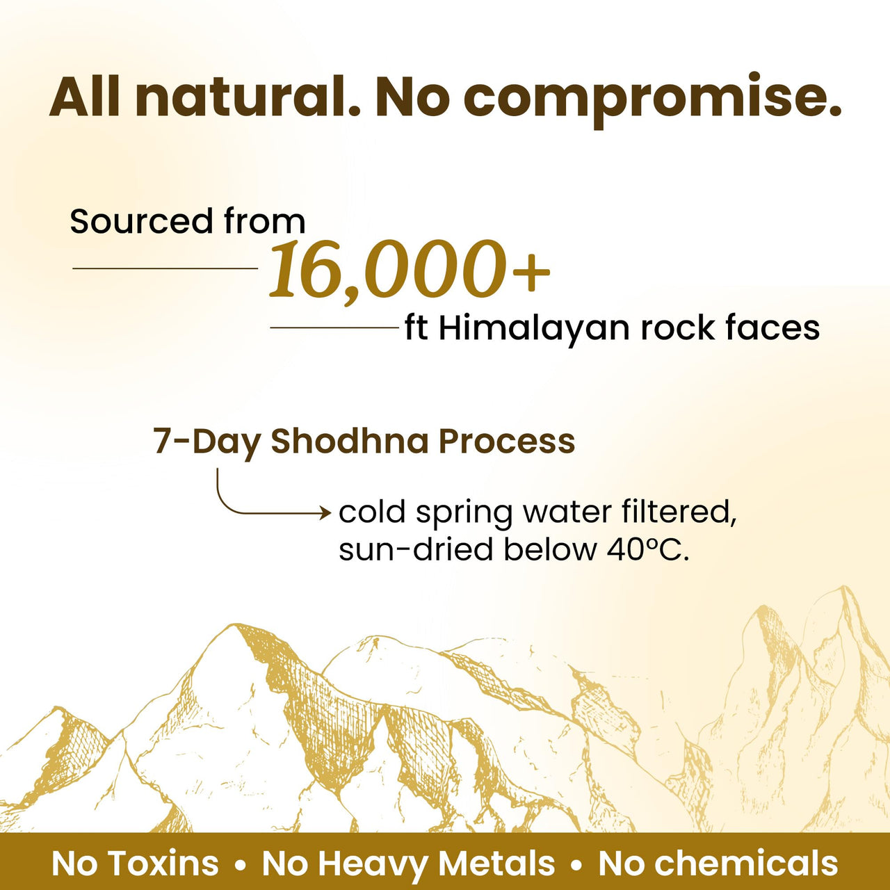 Better Alt Pure Himalayan Shilajit Resin Pack of 1 High Potency Gold Grade 75 Servings for Energy Boost & Immune Support, 85+ Trace Minerals, 75%+ Fulvic Acid, with Lab Test Report,400 mg