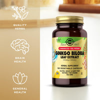 Thumbnail for Solgar Ginkgo Biloba Leaf Extract - 180 Vegetable Capsules - Standardized Full Potency (SFP) - Non-GMO, Vegan, Gluten Free, Dairy Free, Kosher - 180 Servings