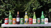 Thumbnail for SILLY SQUEAKERS - Beer Bottles - Dog Toy - 100% Vinyl. Made Durable & Strong. Novelty Play Toy. Many Bottles to Choose from and They Float (Cataroma, Single)