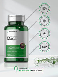 Thumbnail for Horbäach Maca Root Capsules for Men and Women | 120 Pills | High Potency Extract | Non-GMO and Gluten Free Formula