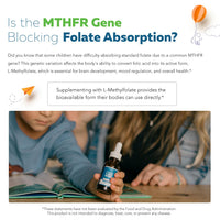 Thumbnail for Organic Kids L-Methylfolate + Methyl B12 Cofactor - MTHFR Sublingual Form - 5-MTHF, Superior Form of Folate - Adjustable Dosing for All Ages - Mood, Behavior, Cognition - Organic Berry Flavor, 1 Fl oz