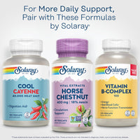 Thumbnail for Solaray Horse Chestnut Extract 400 mg - Standardized to 72 mg Aescin - With 55 mg of Butchers Broom - Vein and Blood Circulation Supplements - Vegan, Non-GMO, 60-Day Guarantee, 60 Servings, 60 VegCaps
