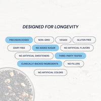 Thumbnail for Blueprint Bryan Johnson Blueberry Nut Mix - Real Blueberries, Roasted Macadamia Nuts and Walnuts - No Additives or Added Sugars - Keto and Paleo Friendly - 170mg Polyphenols (30 Servings)