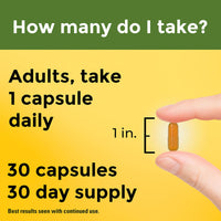 Thumbnail for Nature Made High Absorption Turmeric Curcumin Supplement Capsules, Turmeric Supplement, Muscle and Joint Support, 30 Capsules, 30 Day Supply