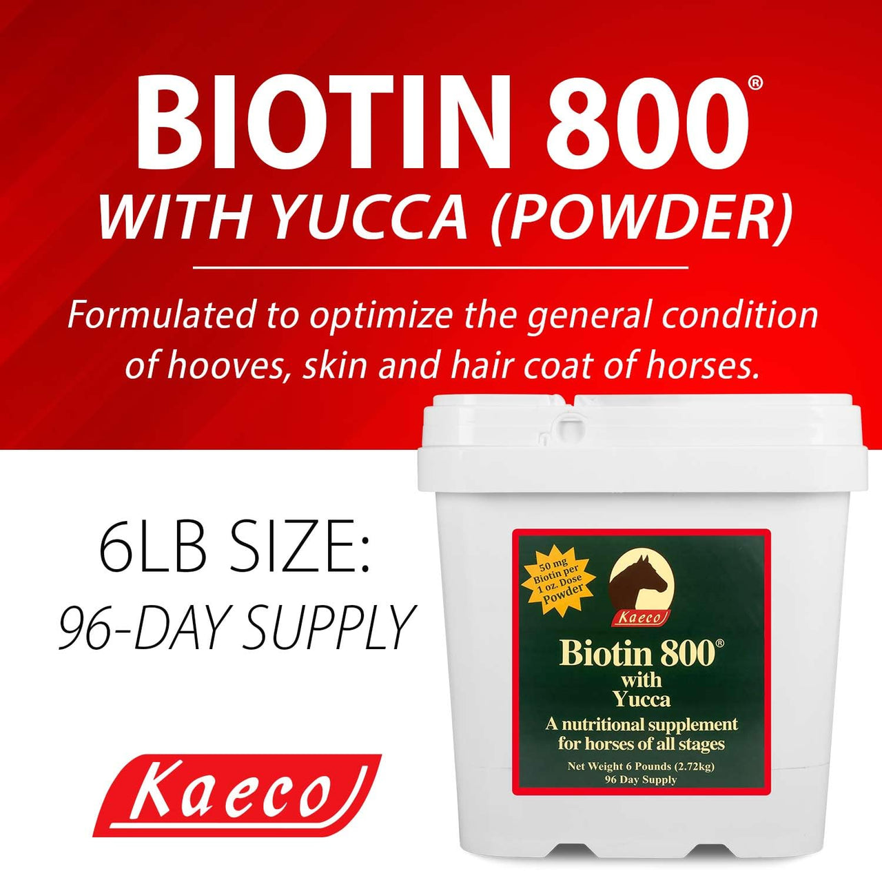 KAECO GROUP INC BIOTIN 800 Powder 6LB D/S