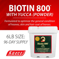 Thumbnail for KAECO GROUP INC BIOTIN 800 Powder 6LB D/S