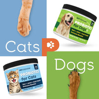Thumbnail for Pet Ultimates Probiotics for Dogs – 22-Species Dog Probiotics for Digestive Support & Antibiotics Recovery – Skin and Coat Supplement, Enhances Vitality – Dog Health Supplies (1 Pack)
