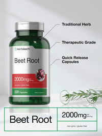 Thumbnail for Horbäach Beet Root Powder Capsules | 220 Pills | Herbal Extract | Non-GMO, Gluten Free Supplement