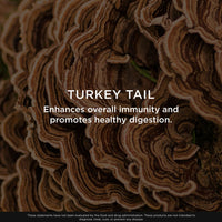 Thumbnail for The Genius Brand Genius Turkey Tail - Plant-Based Supplement for Immune, Gut & Antioxidant Support - Organic & Non-GMO - 120 Veggie Capsules